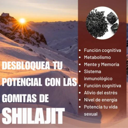 Energía estable y claridad mental todo el día, sin café ni estimulantes - Shilajit Gominolas